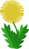 Cartoon Dandelion Clip Art